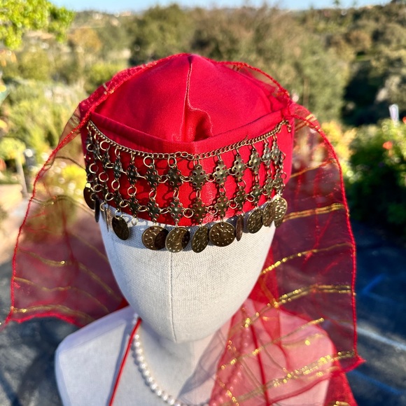 Belly Dance Costume new hand made Bra, trousers, 2 arm sleeves, hat& crop top - Picture 6 of 16